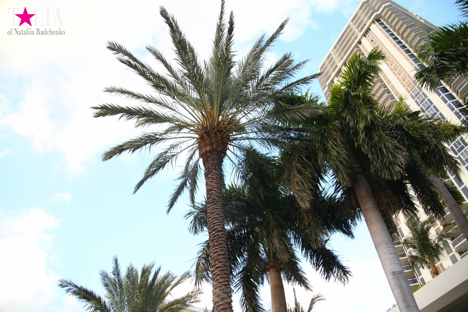 Yachts, Palms, Bay - The promenade of Middle Miami Beach, Collins Avenue